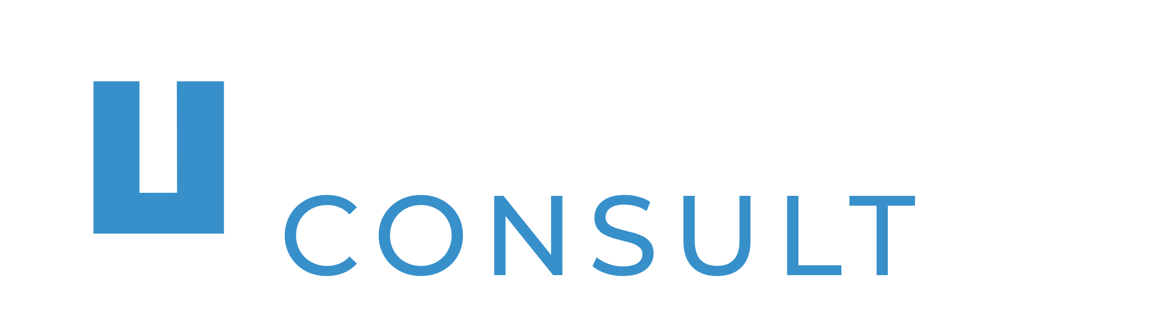 LUP CONSULT